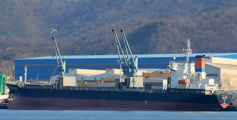 OCEAN SUCCESS General Cargo IMO 9546253 photo 7