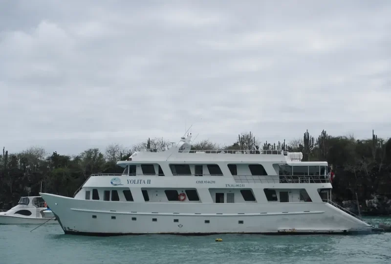 YOLITA II Passenger Ship IMO 9546291