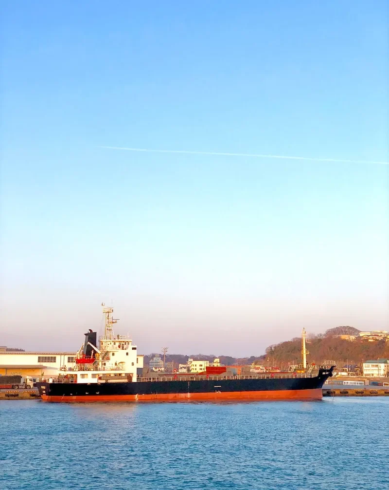 DONG CHENG 7 General Cargo IMO 9546306 photo 9
