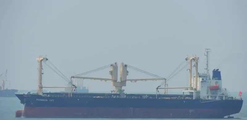 RAINBOW IVY General Cargo IMO 9546320