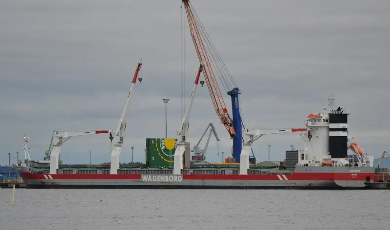 TAAGBORG General Cargo IMO 9546461 photo 2