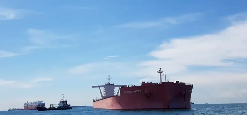 AM PORT CARTIER Bulk Carrier IMO 9546801