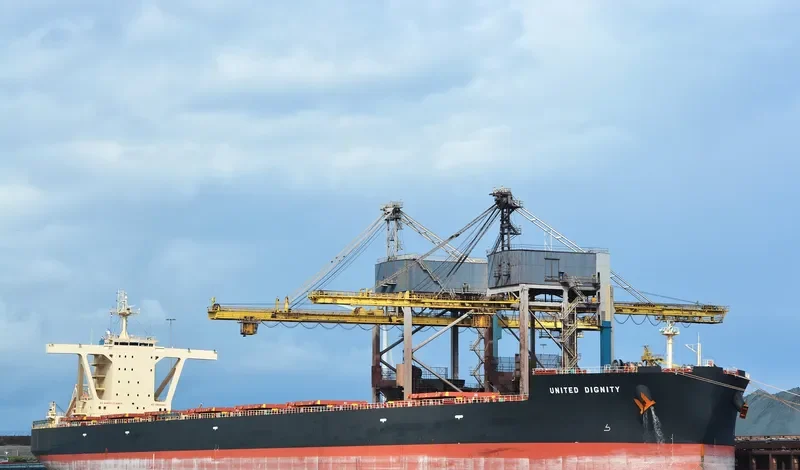 UNITED DIGNITY Bulk Carrier IMO 9546813 photo 7
