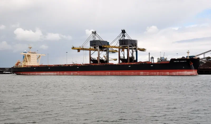 UNITED DIGNITY Bulk Carrier IMO 9546813 photo 9