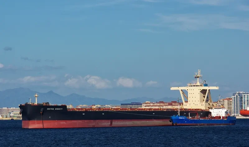 UNITED DIGNITY Bulk Carrier IMO 9546813 photo 10
