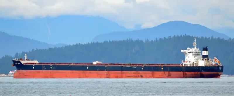 CAPE SUN Bulk Carrier IMO 9546899 photo 2