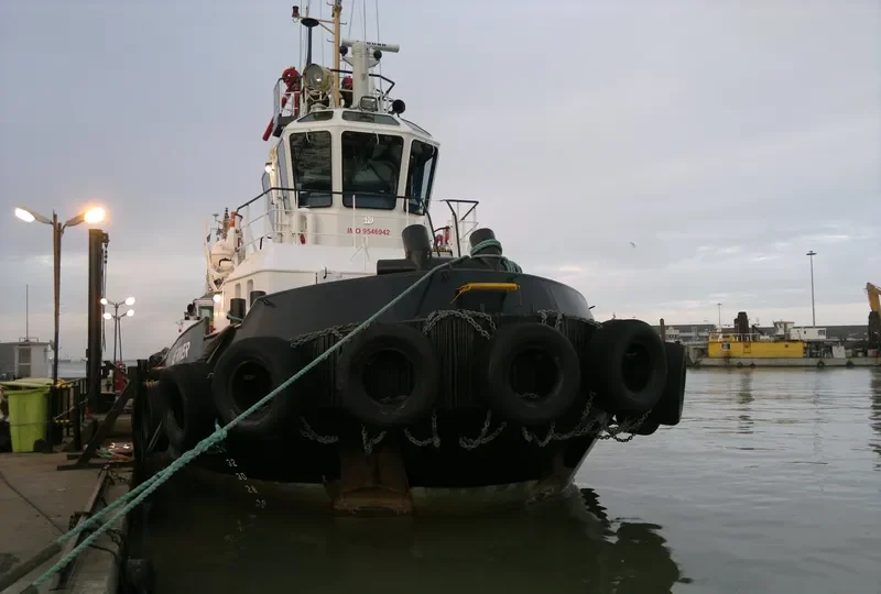 SAVE RIVER General Cargo IMO 9546942 photo 3