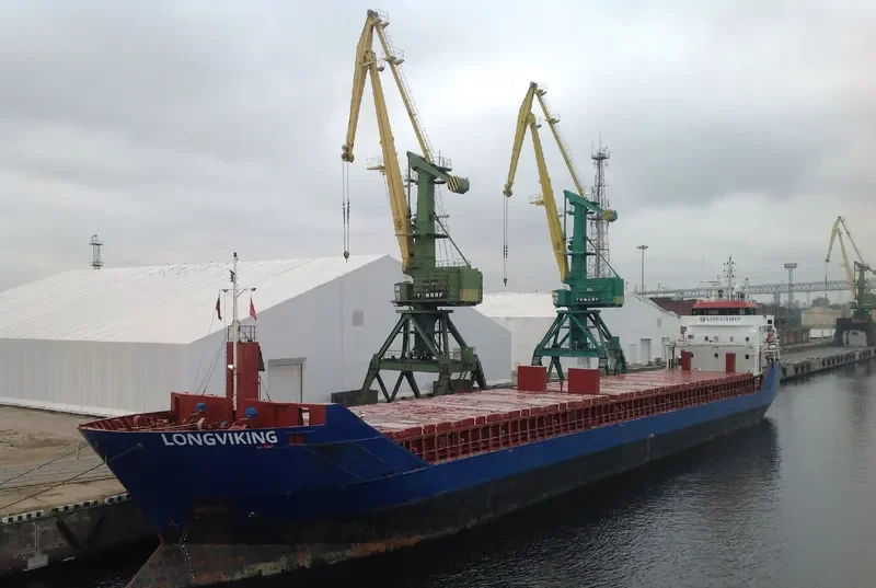 LONGVIKING General Cargo IMO 9547324