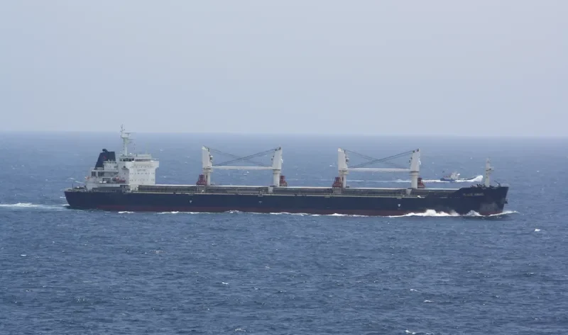 PEACE ANGEL Bulk Carrier IMO 9547790