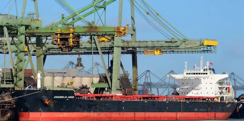 CHARIKLIA JUNIOR Bulk Carrier IMO 9548201 photo 2