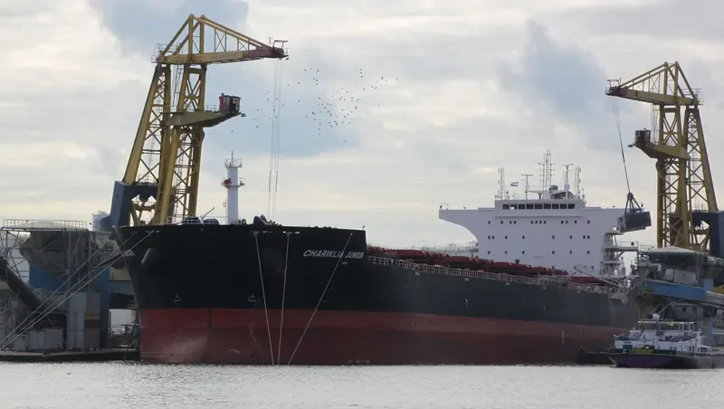 CHARIKLIA JUNIOR Bulk Carrier IMO 9548201 photo 6