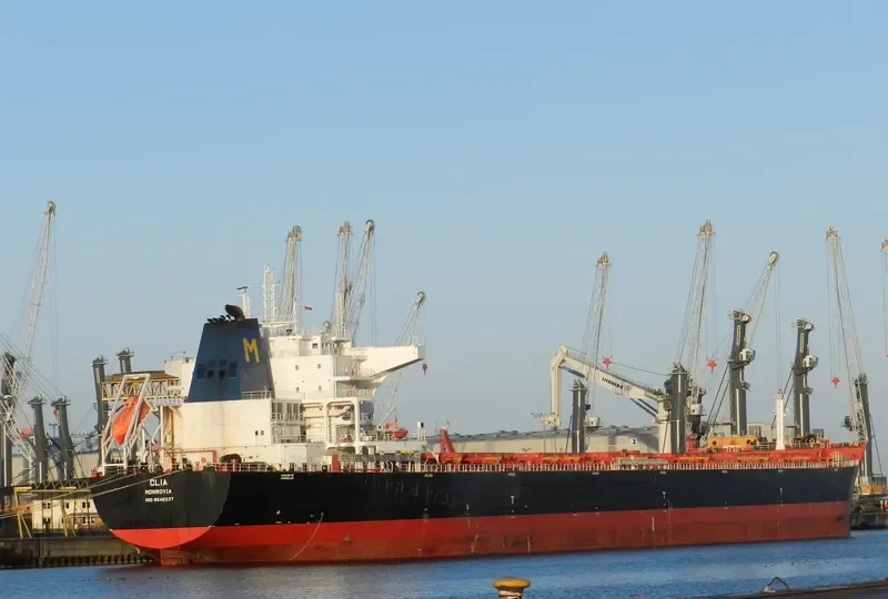 CLIA Bulk Carrier IMO 9548237 photo 5
