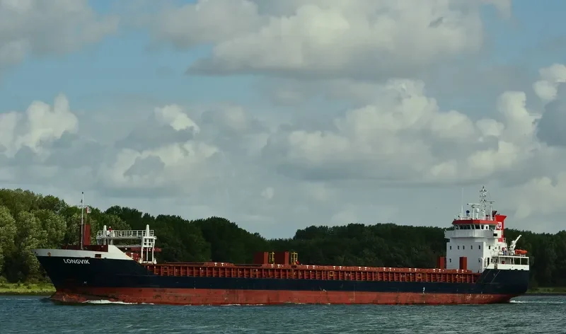 LONGVIK General Cargo IMO 9548299 photo 2