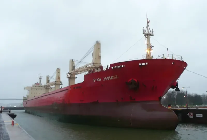 PAN JASMINE Bulk Carrier IMO 9548328 photo 2