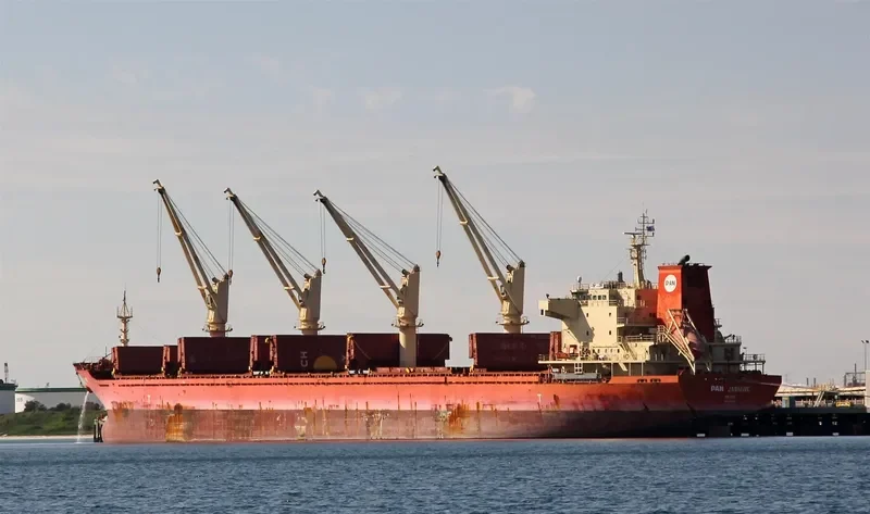 PAN JASMINE Bulk Carrier IMO 9548328 photo 5