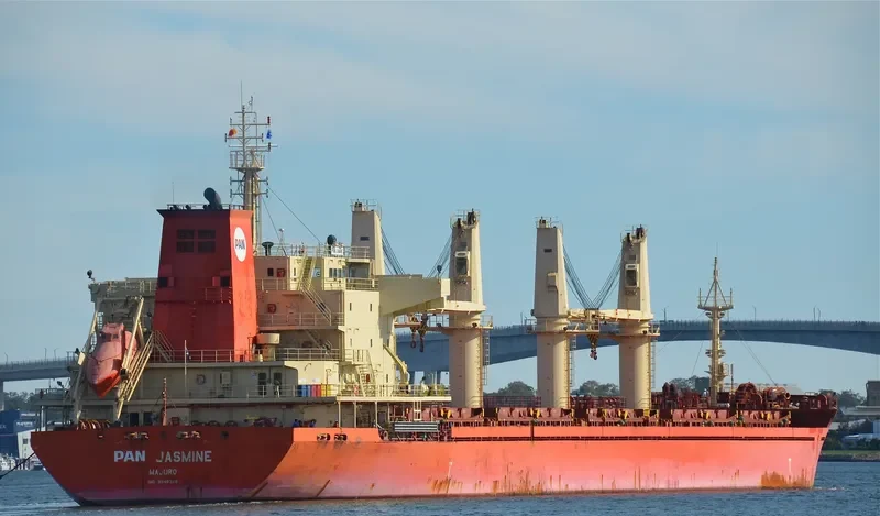 PAN JASMINE Bulk Carrier IMO 9548328 photo 6
