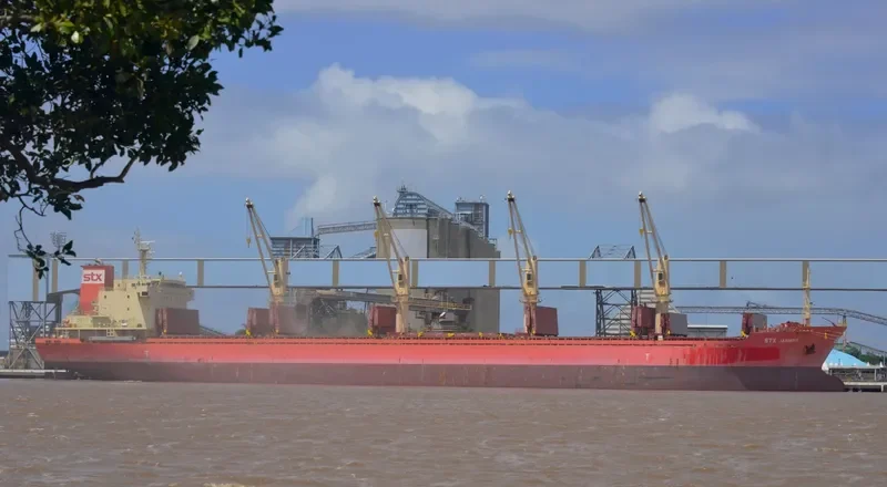 PAN JASMINE Bulk Carrier IMO 9548328 photo 9