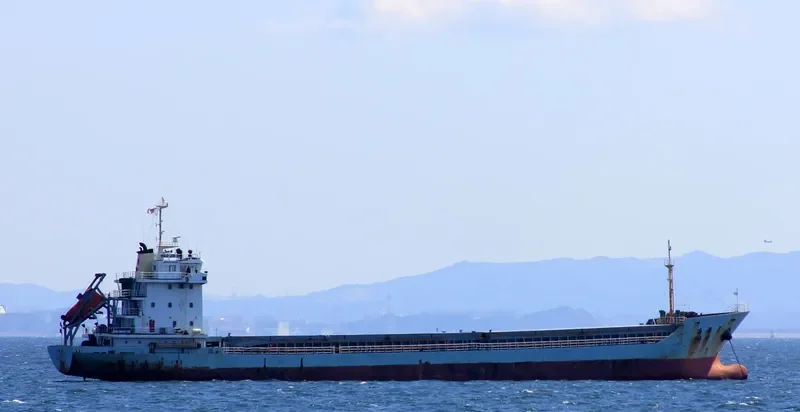 HAO JIN 2 General Cargo IMO 9548433 photo 3