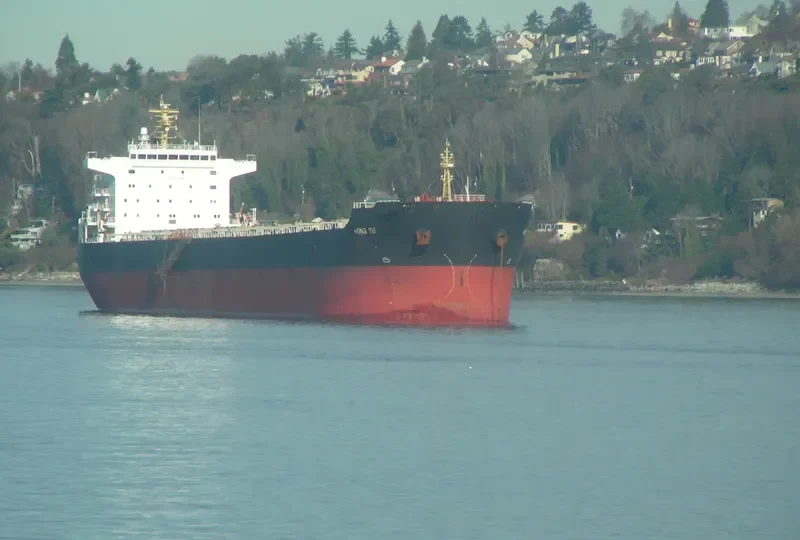 HONG YU Bulk Carrier IMO 9548548 photo 7