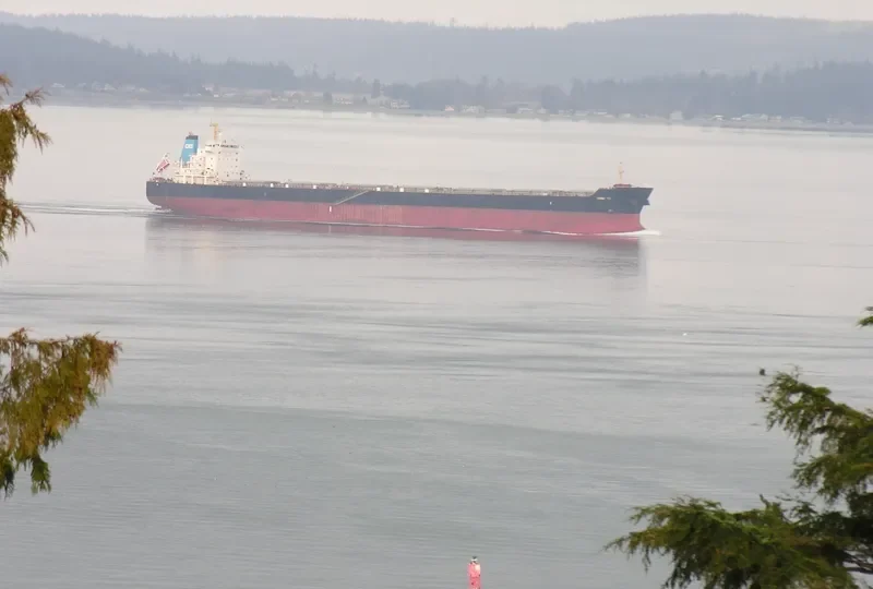 HONG YU Bulk Carrier IMO 9548548 photo 9