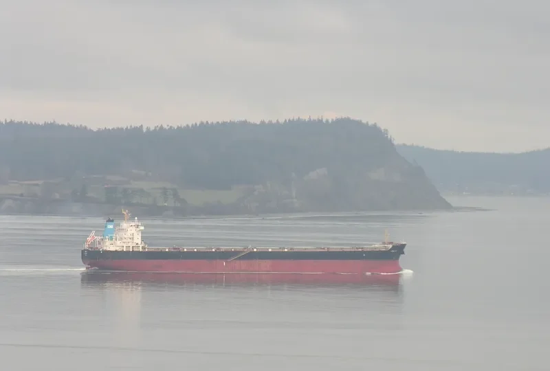 HONG YU Bulk Carrier IMO 9548548 photo 10