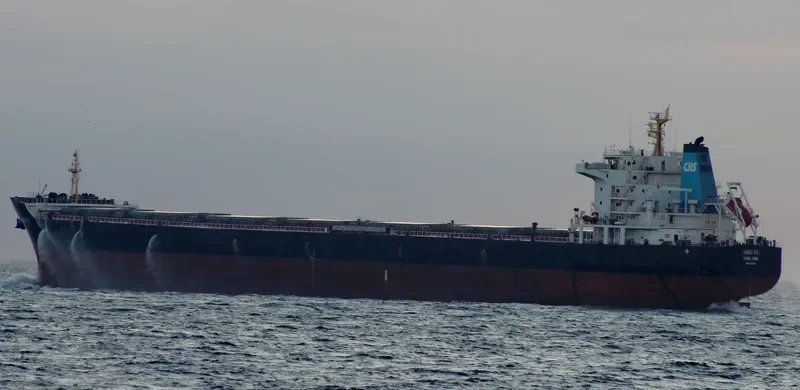 HONG FU Bulk Carrier IMO 9548550 photo 2