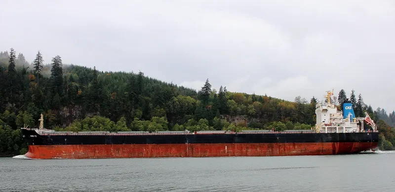 HONG FU Bulk Carrier IMO 9548550 photo 5
