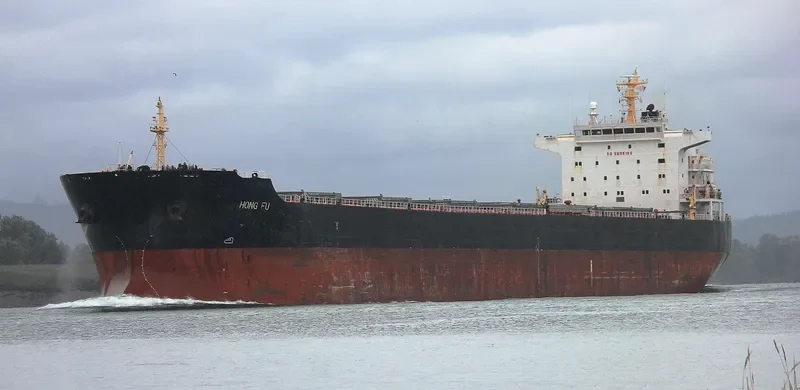 HONG FU Bulk Carrier IMO 9548550 photo 7