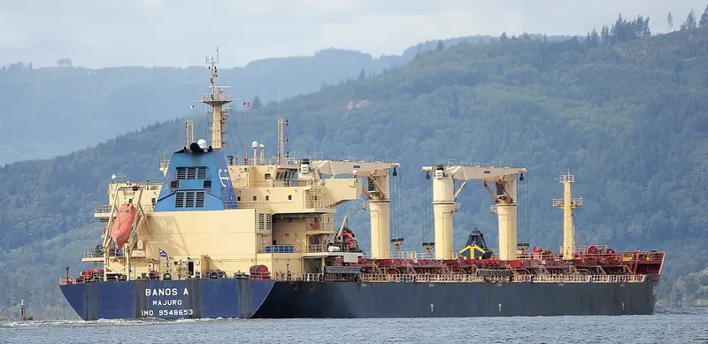 FROSSO K Bulk Carrier IMO 9548653 photo 2