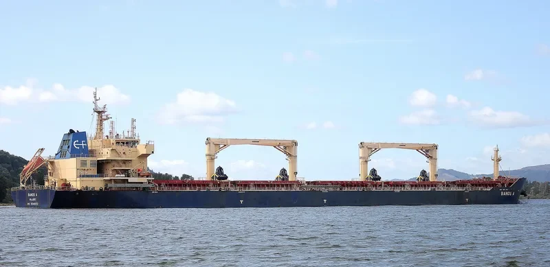 FROSSO K Bulk Carrier IMO 9548653 photo 3