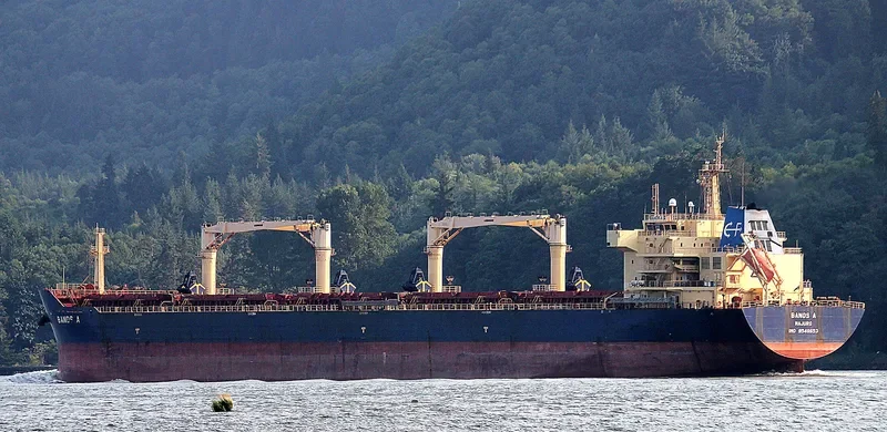 FROSSO K Bulk Carrier IMO 9548653 photo 5
