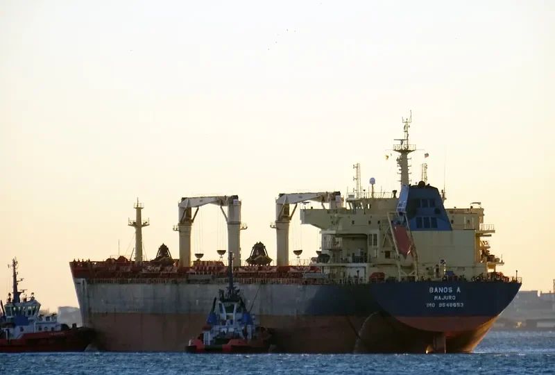 FROSSO K Bulk Carrier IMO 9548653 photo 7