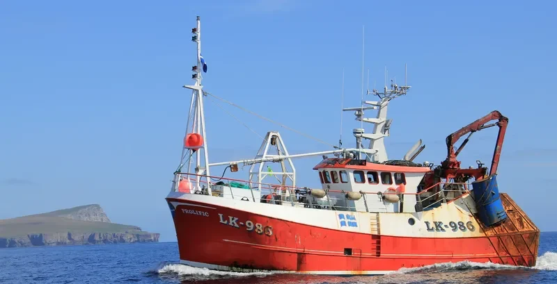 PROLIFIC General Cargo IMO 9548859 photo 7