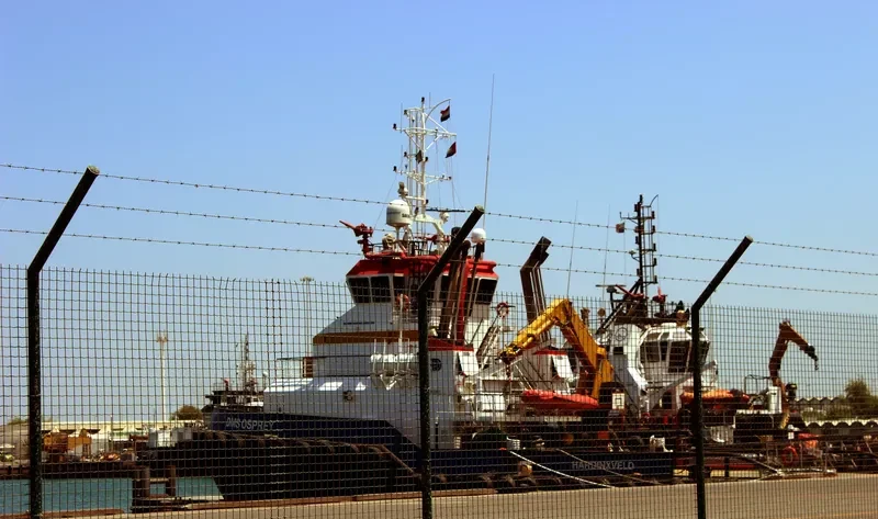 DMS OSPREY General Cargo IMO 9548897 photo 6