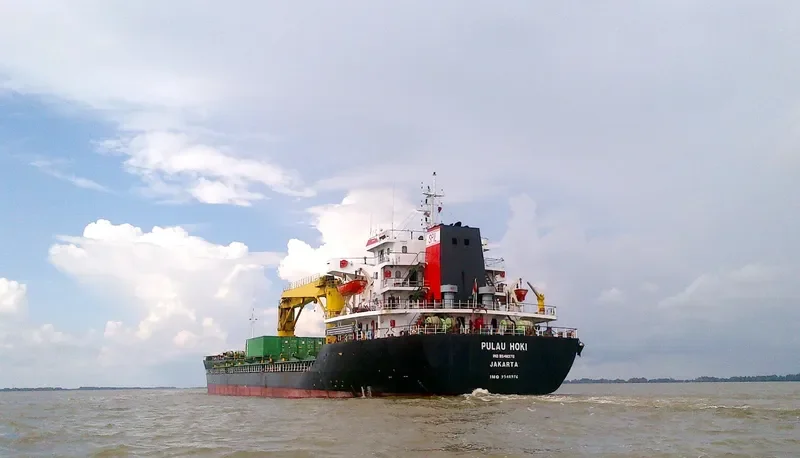 PULAU HOKI Container Ship IMO 9548976 photo 2