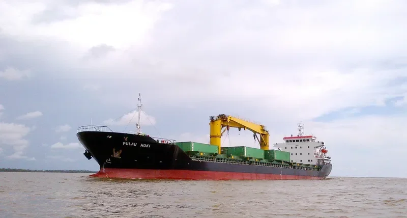 PULAU HOKI Container Ship IMO 9548976 photo 3