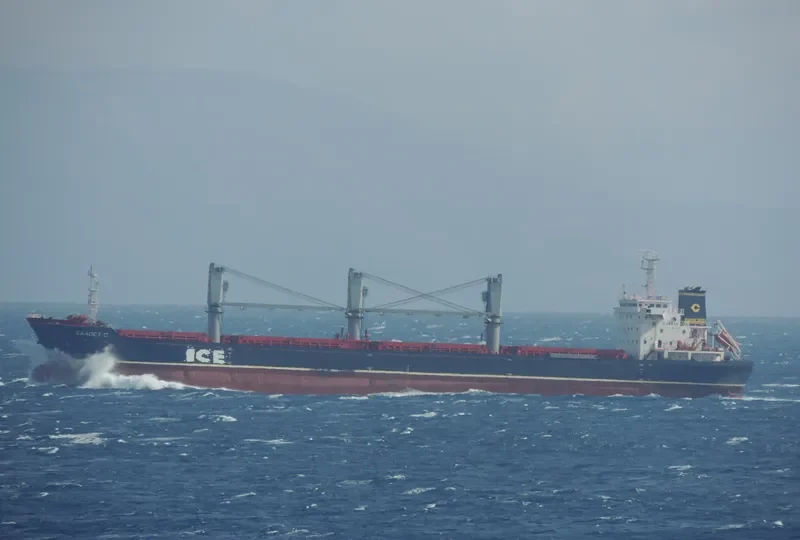 SAADET C Bulk Carrier IMO 9549267