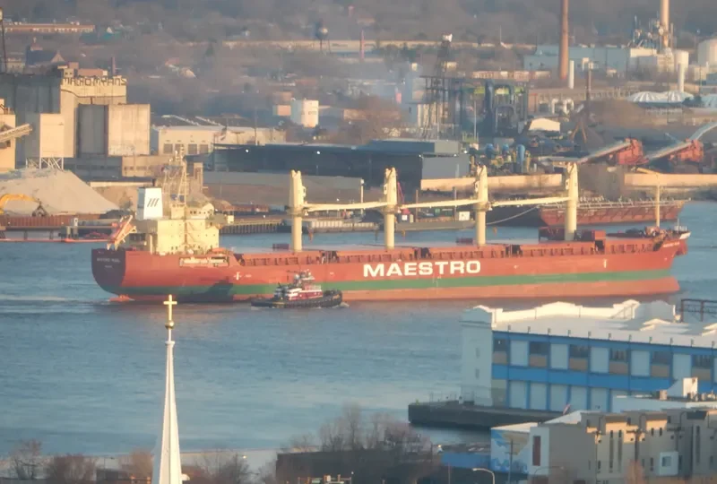 REID MCALLISTER General Cargo IMO 9549530 photo 7