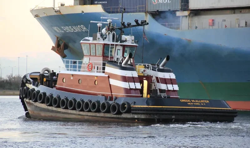 GREGG MCALLISTER General Cargo IMO 9549542 photo 8