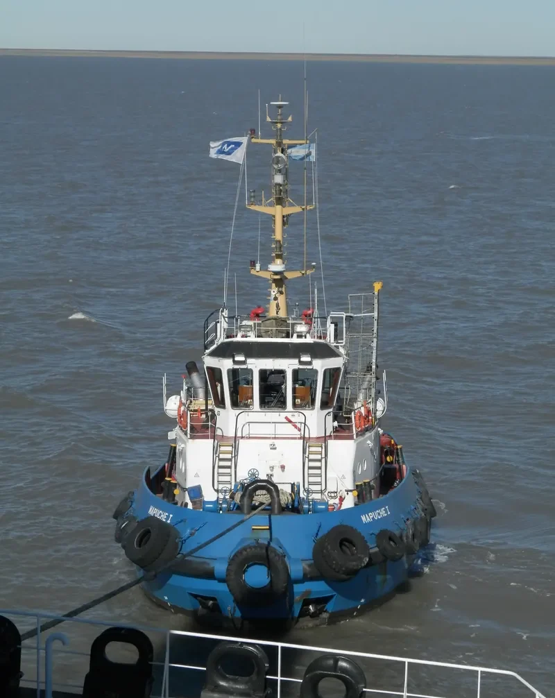 MAPUCHE I General Cargo IMO 9549815