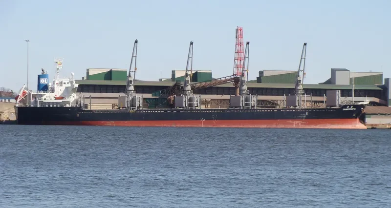 TRANSFORMER OL Bulk Carrier IMO 9550216 photo 7