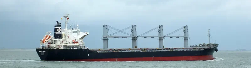 SAGITTARIUS Bulk Carrier IMO 9550254 photo 6