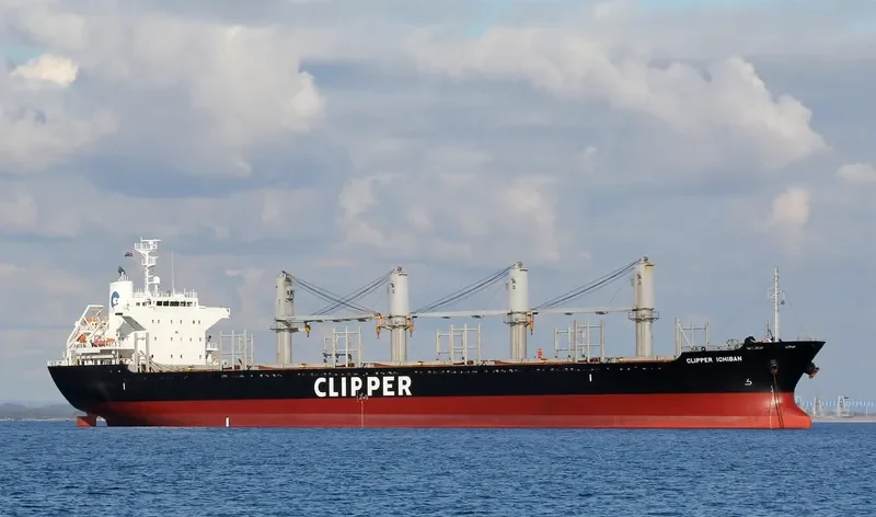 ALEA Bulk Carrier IMO 9550266 photo 2