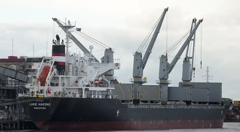 LAKE HAKONE Bulk Carrier IMO 9550278 photo 2