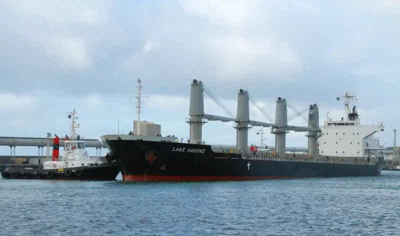 LAKE HAKONE Bulk Carrier IMO 9550278 photo 10
