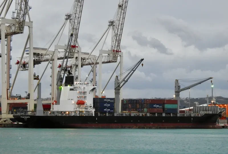 JAN Container Ship IMO 9550345 photo 6