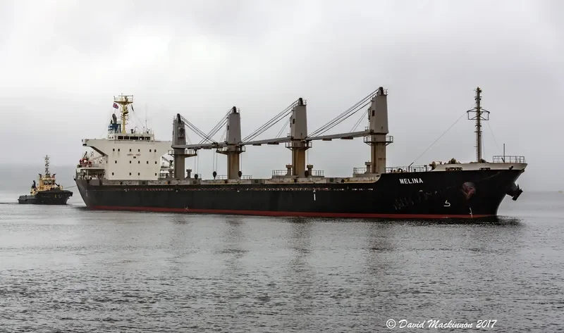 MELINA Bulk Carrier IMO 9550424 photo 4