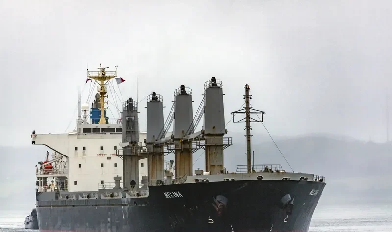 MELINA Bulk Carrier IMO 9550424 photo 5