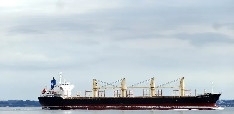 GLOBAL AQUARIUS Bulk Carrier IMO 9550436 photo 7