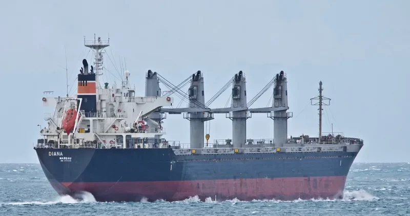 WYUNA Bulk Carrier IMO 9550448 photo 5